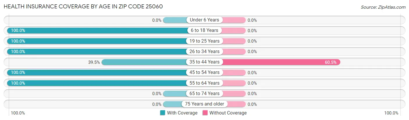 Health Insurance Coverage by Age in Zip Code 25060