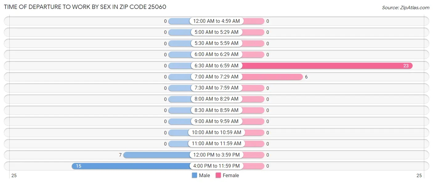 Time of Departure to Work by Sex in Zip Code 25060