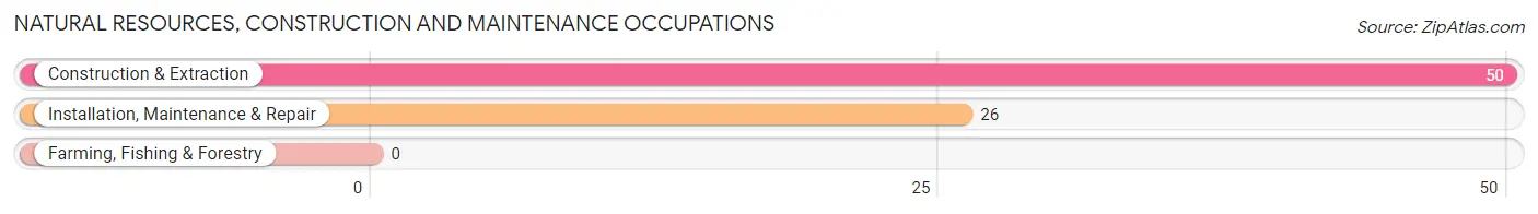 Natural Resources, Construction and Maintenance Occupations in Zip Code 25061