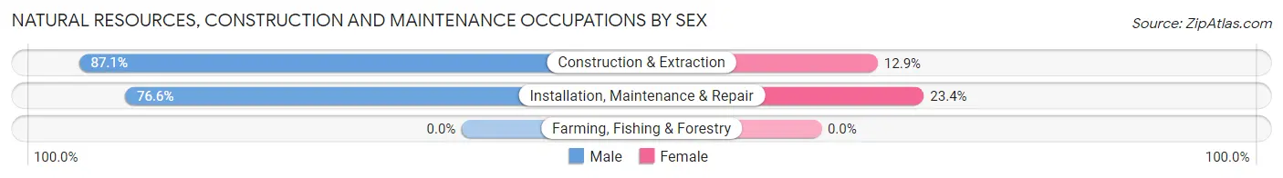 Natural Resources, Construction and Maintenance Occupations by Sex in Zip Code 25064