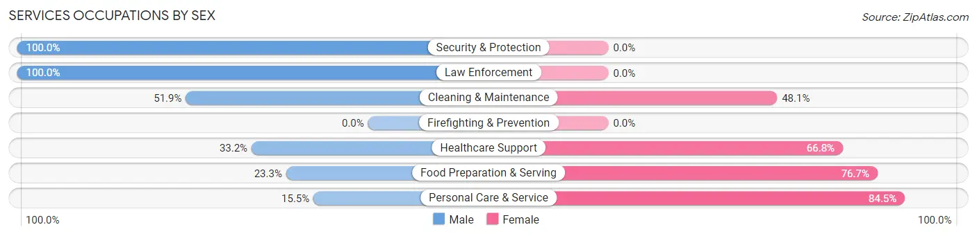 Services Occupations by Sex in Zip Code 25064
