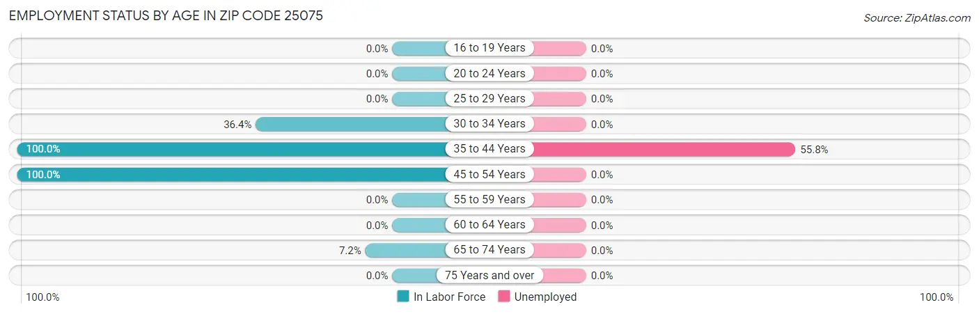 Employment Status by Age in Zip Code 25075