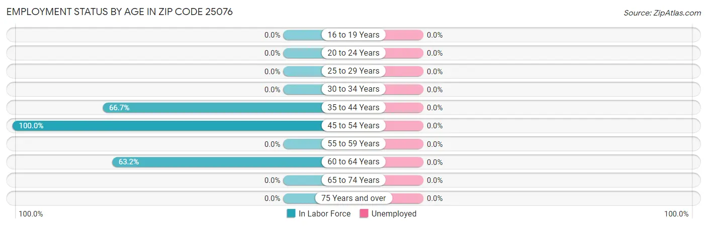 Employment Status by Age in Zip Code 25076
