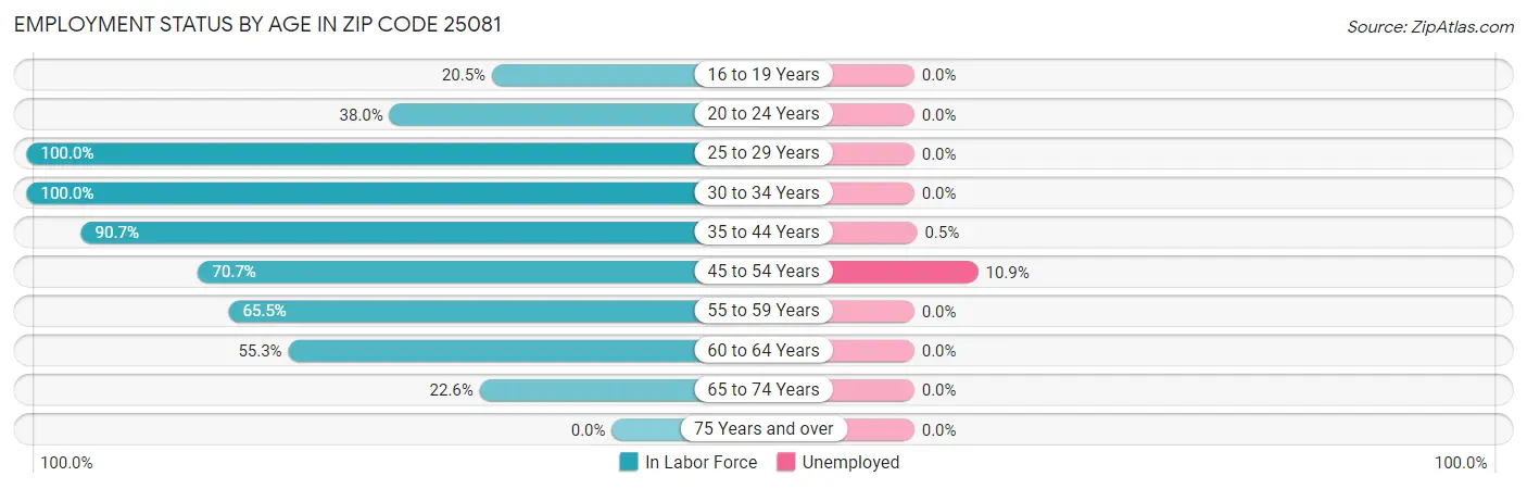 Employment Status by Age in Zip Code 25081