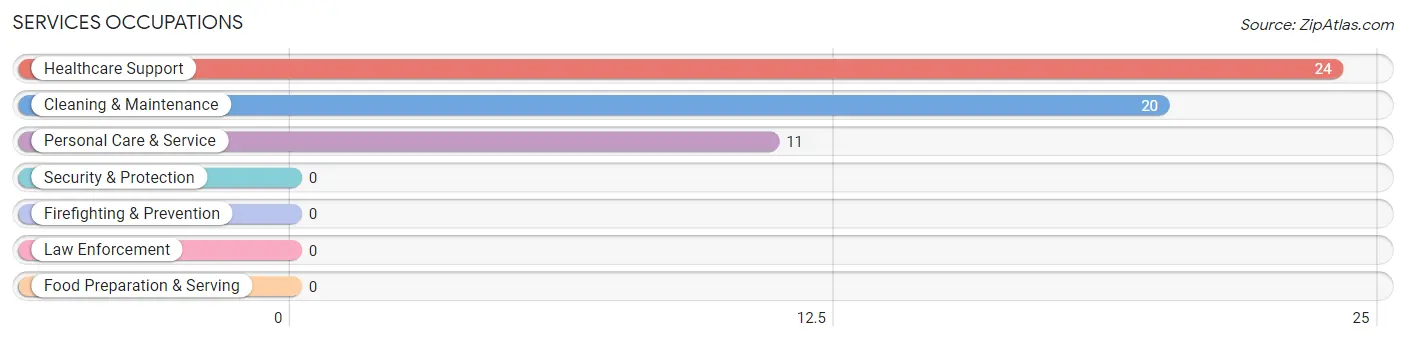 Services Occupations in Zip Code 25082