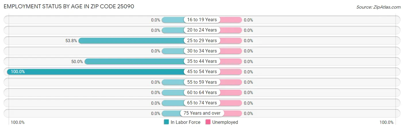 Employment Status by Age in Zip Code 25090