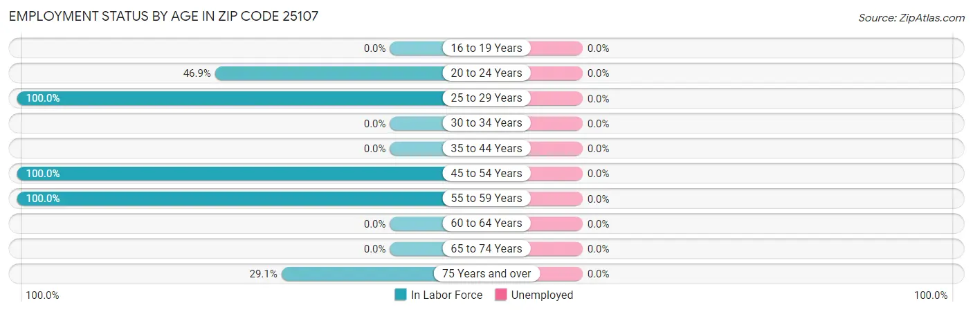 Employment Status by Age in Zip Code 25107