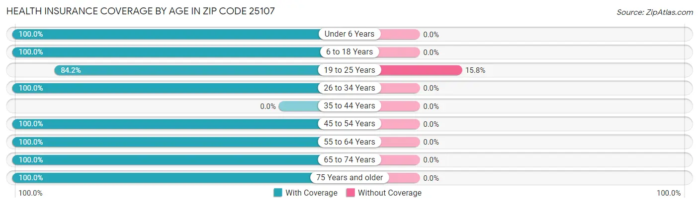 Health Insurance Coverage by Age in Zip Code 25107