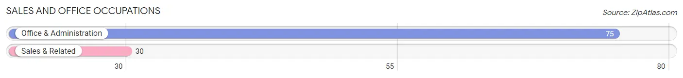 Sales and Office Occupations in Zip Code 25109