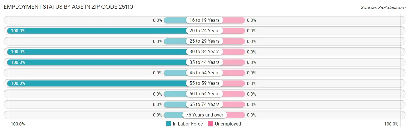 Employment Status by Age in Zip Code 25110