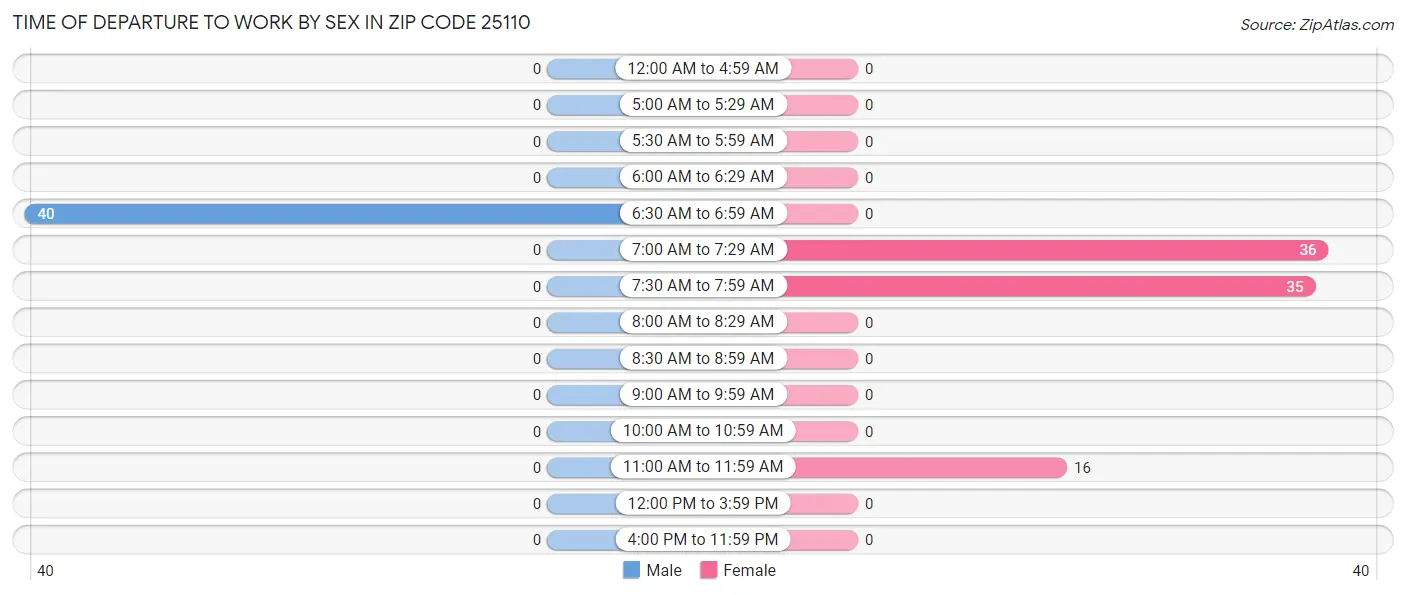 Time of Departure to Work by Sex in Zip Code 25110