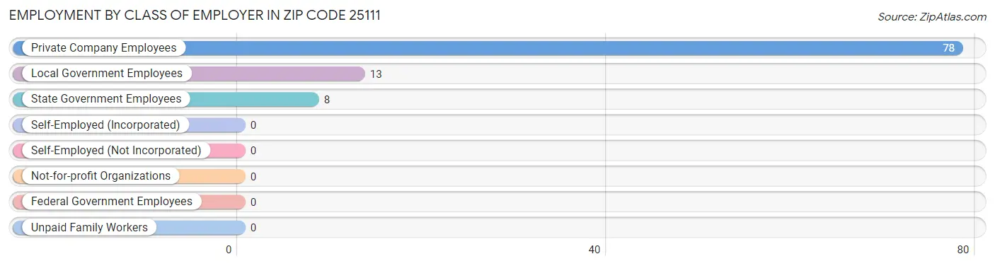 Employment by Class of Employer in Zip Code 25111