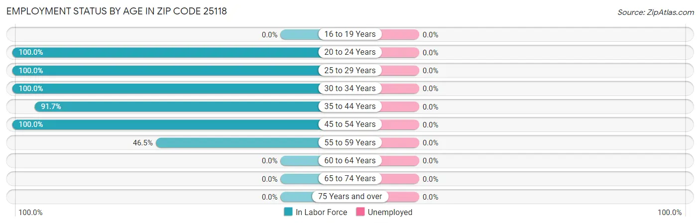 Employment Status by Age in Zip Code 25118