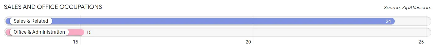 Sales and Office Occupations in Zip Code 25121