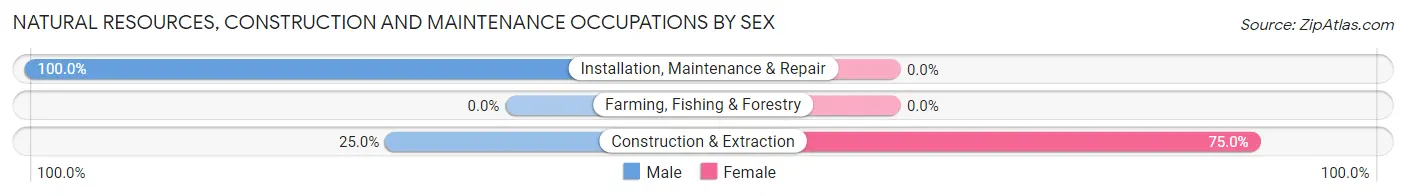 Natural Resources, Construction and Maintenance Occupations by Sex in Zip Code 25124
