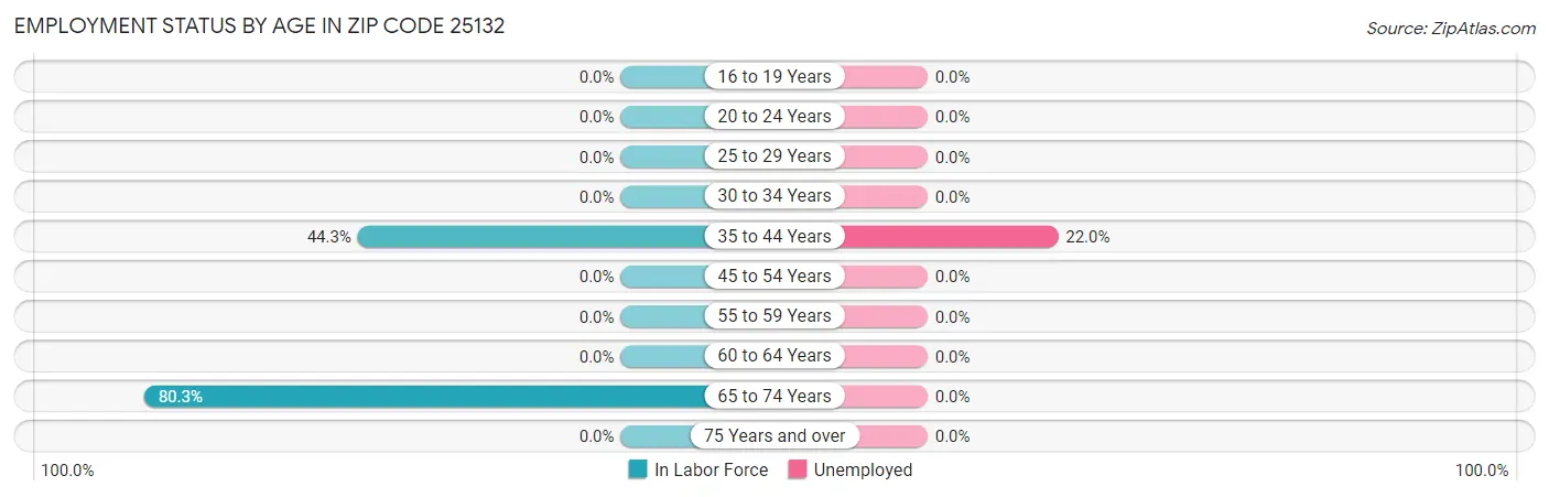 Employment Status by Age in Zip Code 25132