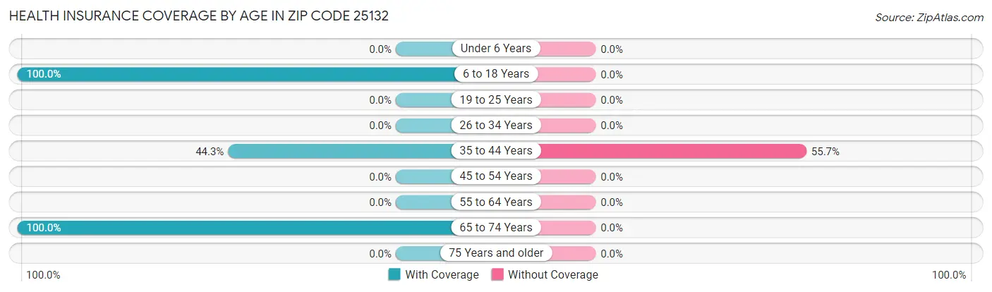 Health Insurance Coverage by Age in Zip Code 25132