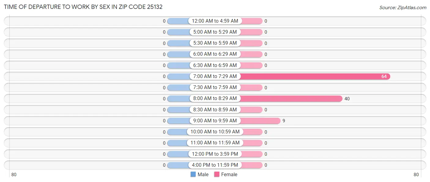 Time of Departure to Work by Sex in Zip Code 25132