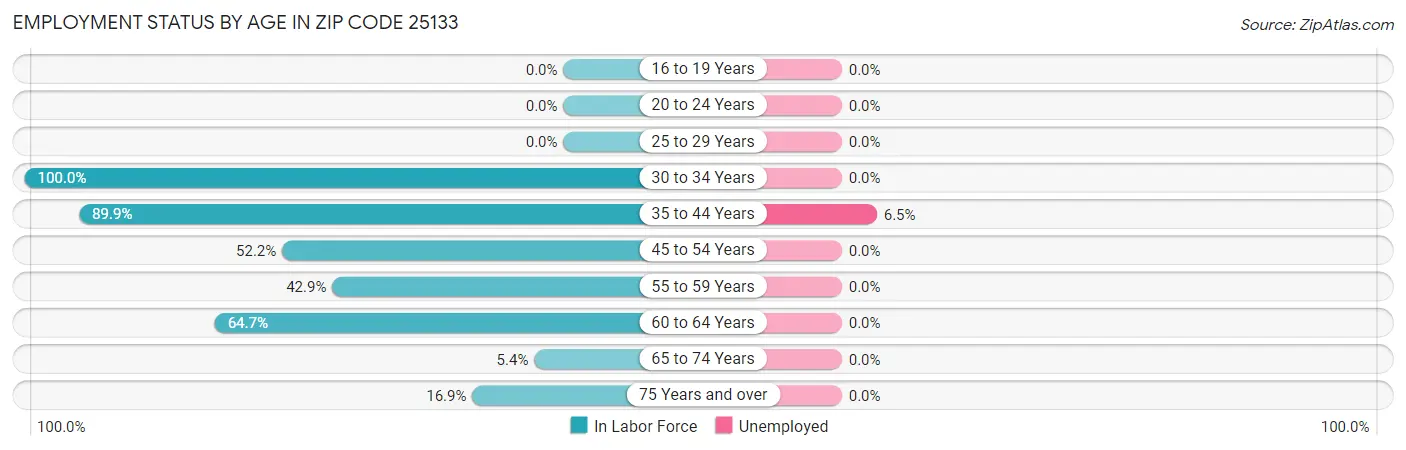 Employment Status by Age in Zip Code 25133