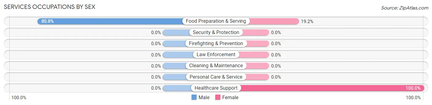 Services Occupations by Sex in Zip Code 25133