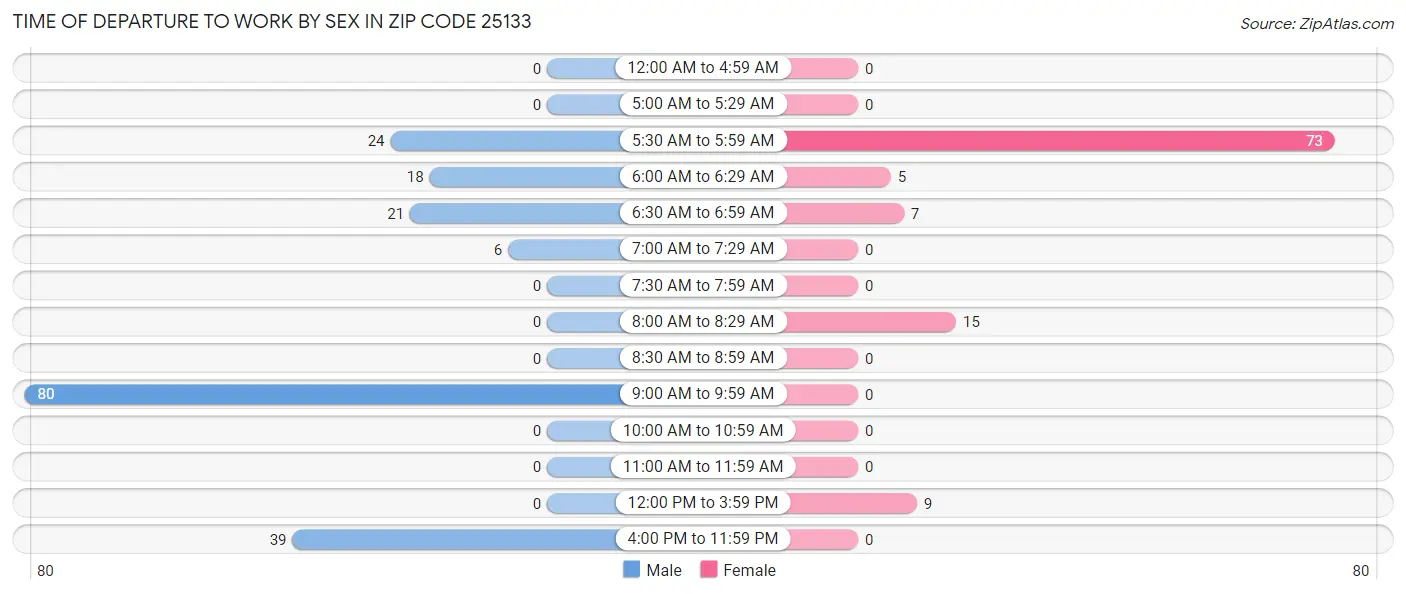 Time of Departure to Work by Sex in Zip Code 25133