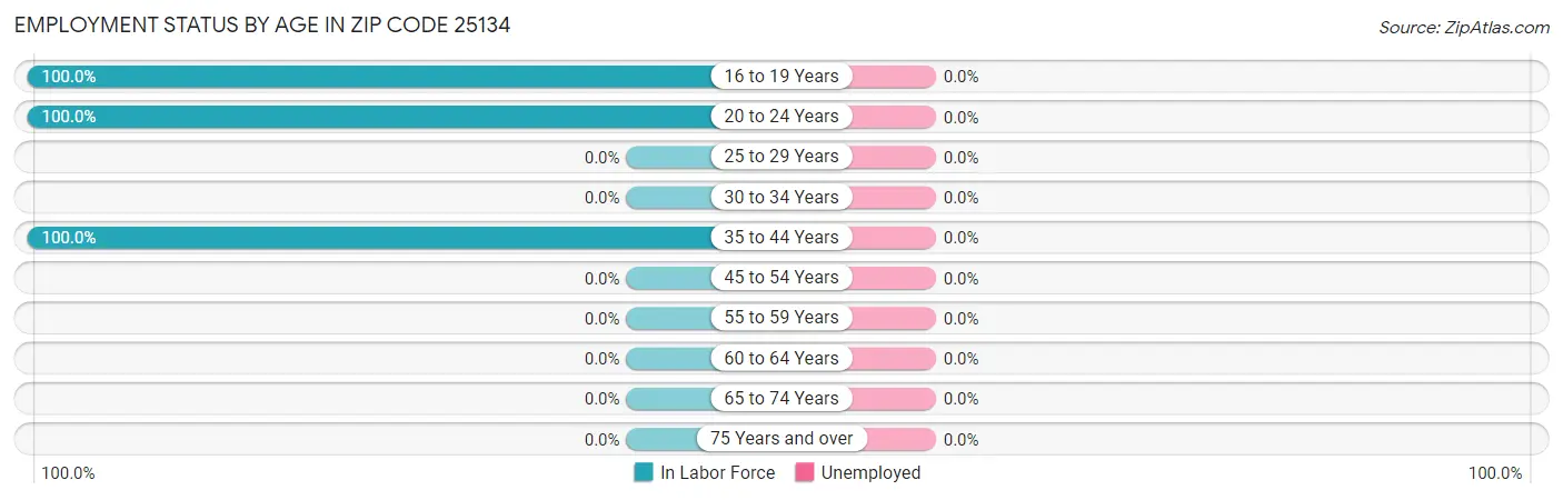 Employment Status by Age in Zip Code 25134