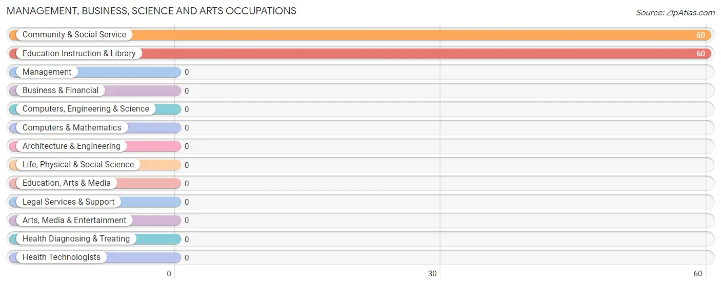 Management, Business, Science and Arts Occupations in Zip Code 25134