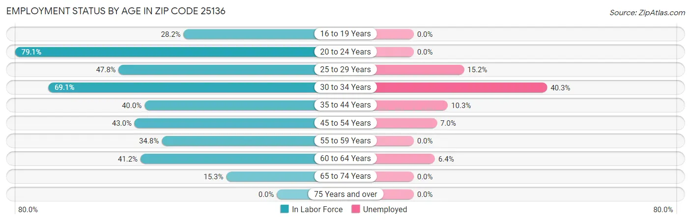 Employment Status by Age in Zip Code 25136