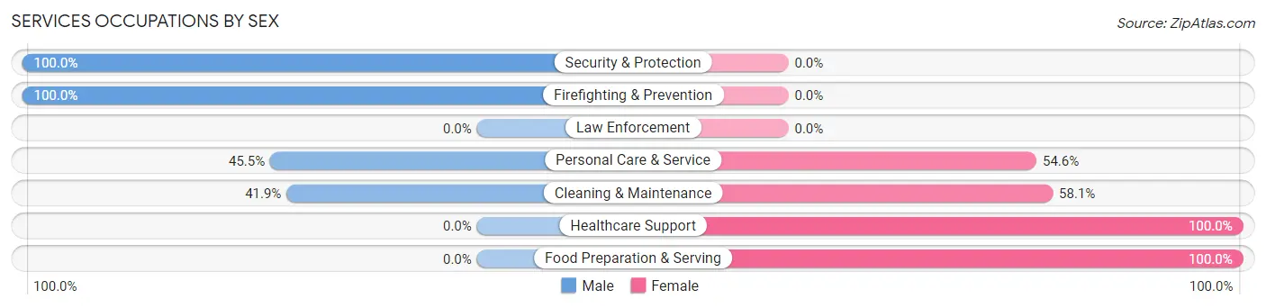 Services Occupations by Sex in Zip Code 25136