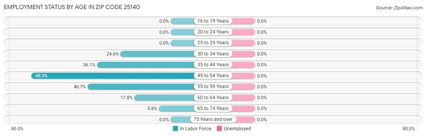 Employment Status by Age in Zip Code 25140