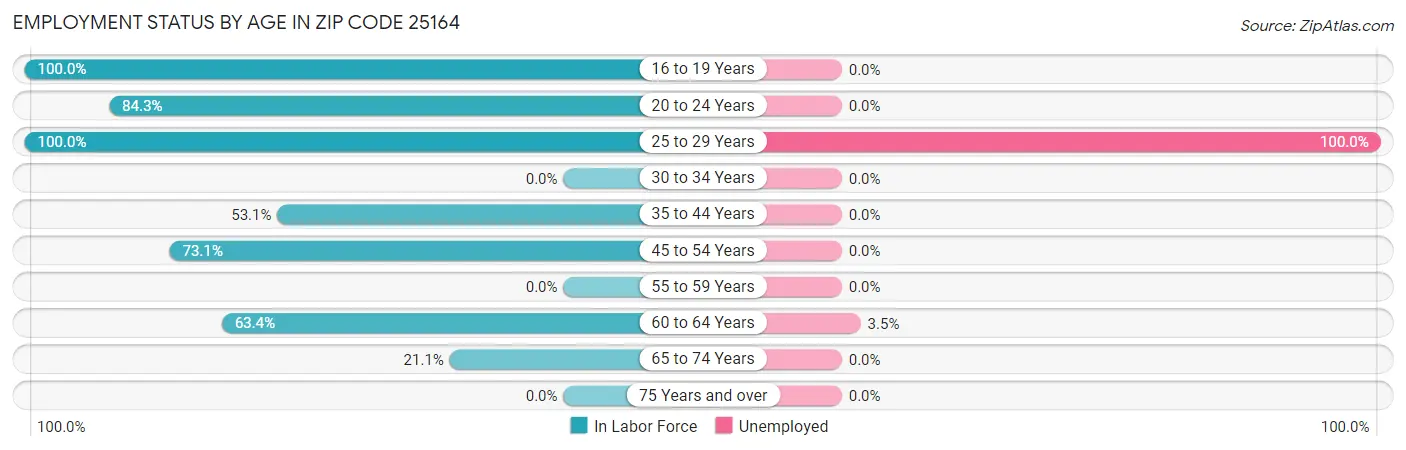 Employment Status by Age in Zip Code 25164