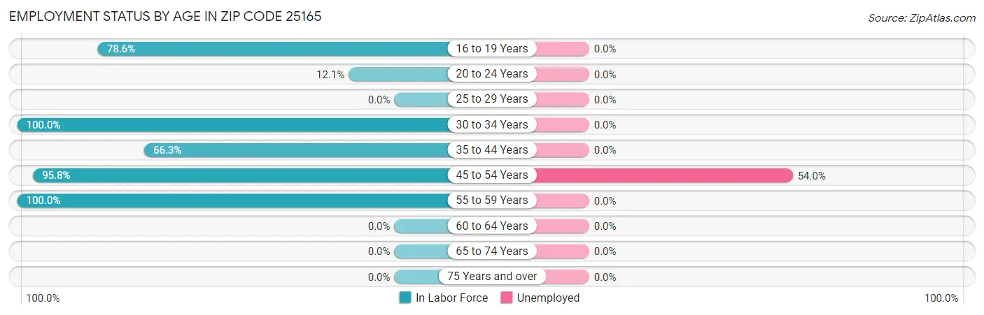Employment Status by Age in Zip Code 25165