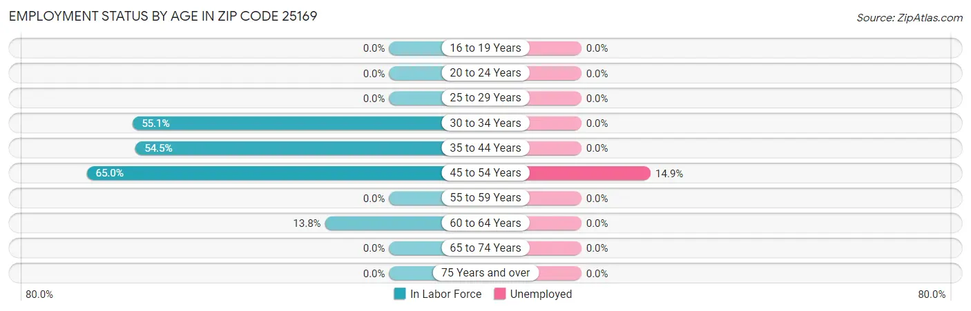Employment Status by Age in Zip Code 25169
