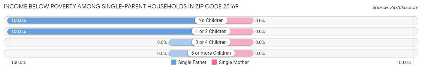 Income Below Poverty Among Single-Parent Households in Zip Code 25169