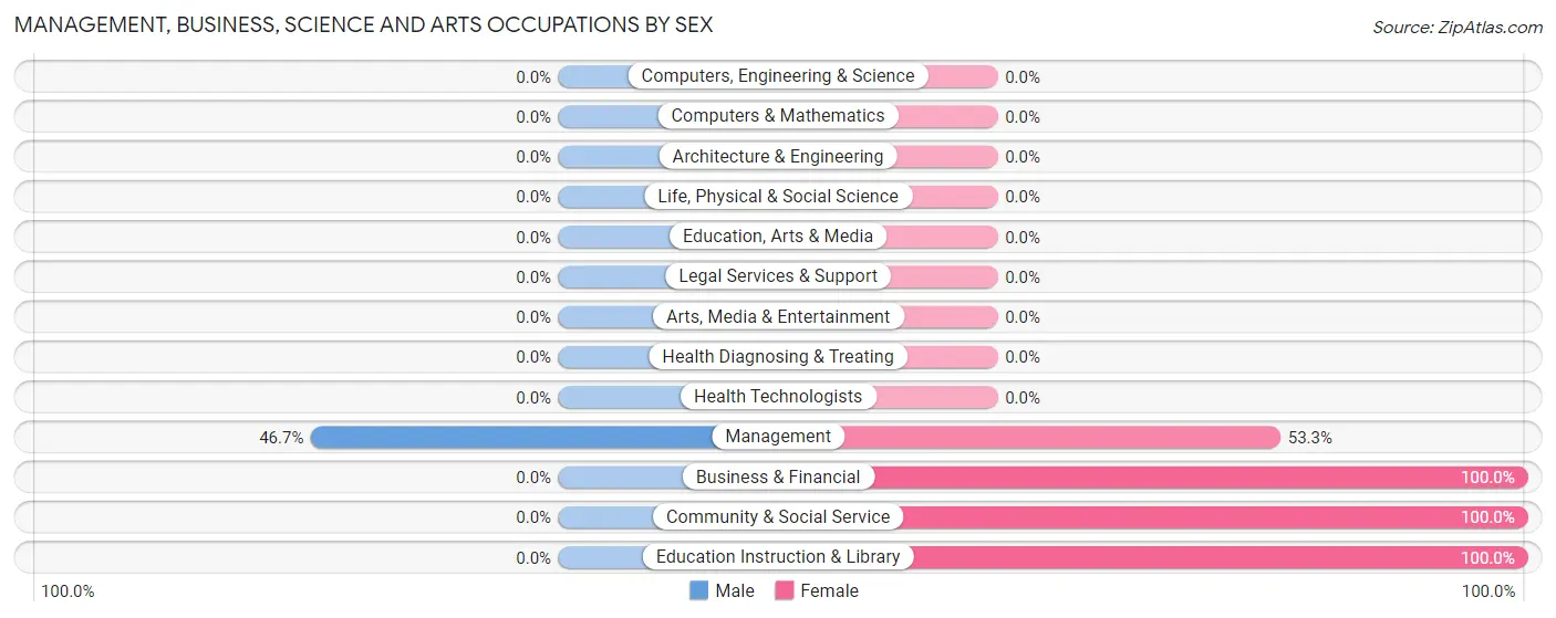 Management, Business, Science and Arts Occupations by Sex in Zip Code 25169