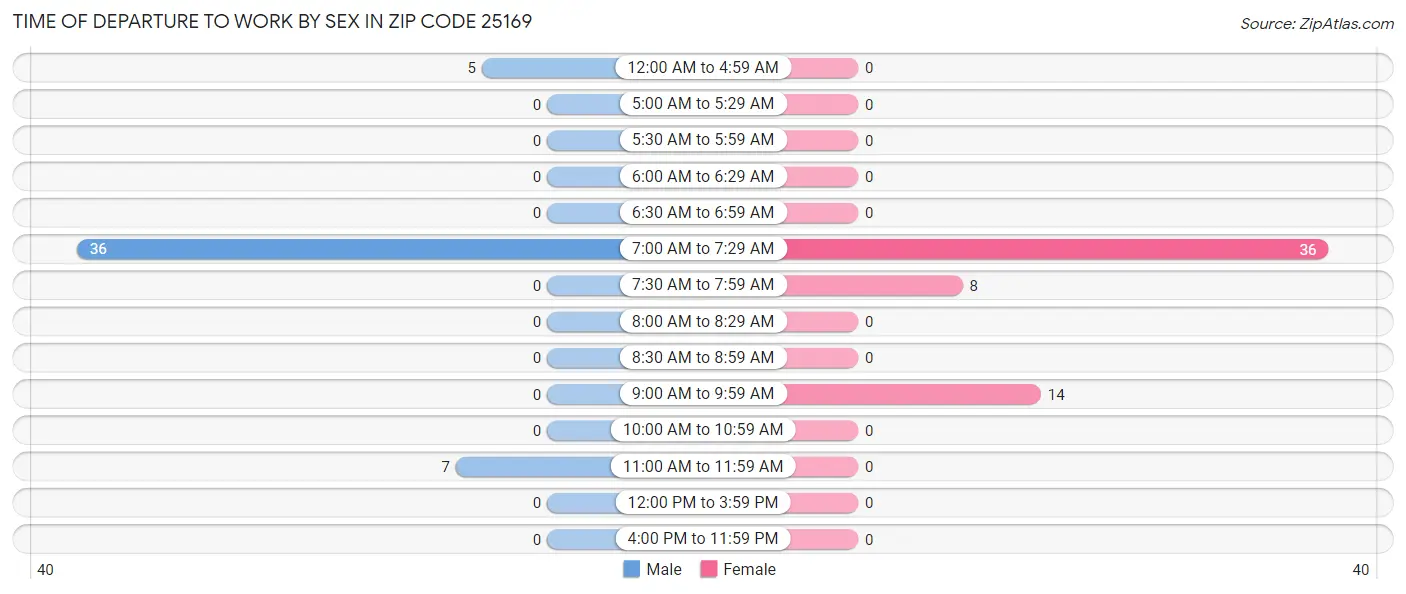 Time of Departure to Work by Sex in Zip Code 25169