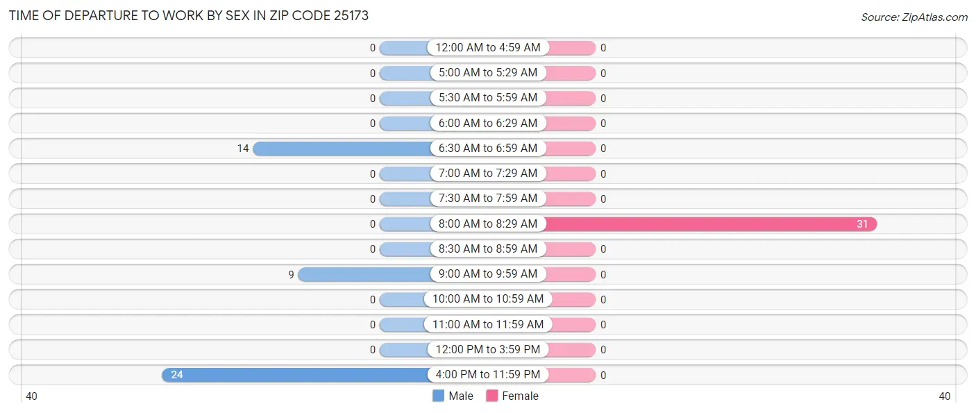 Time of Departure to Work by Sex in Zip Code 25173