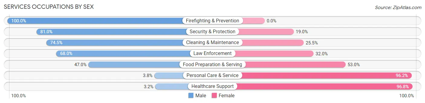 Services Occupations by Sex in Zip Code 25177