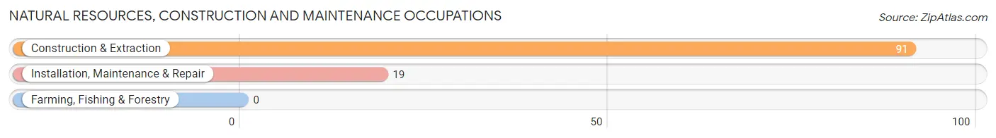 Natural Resources, Construction and Maintenance Occupations in Zip Code 25181