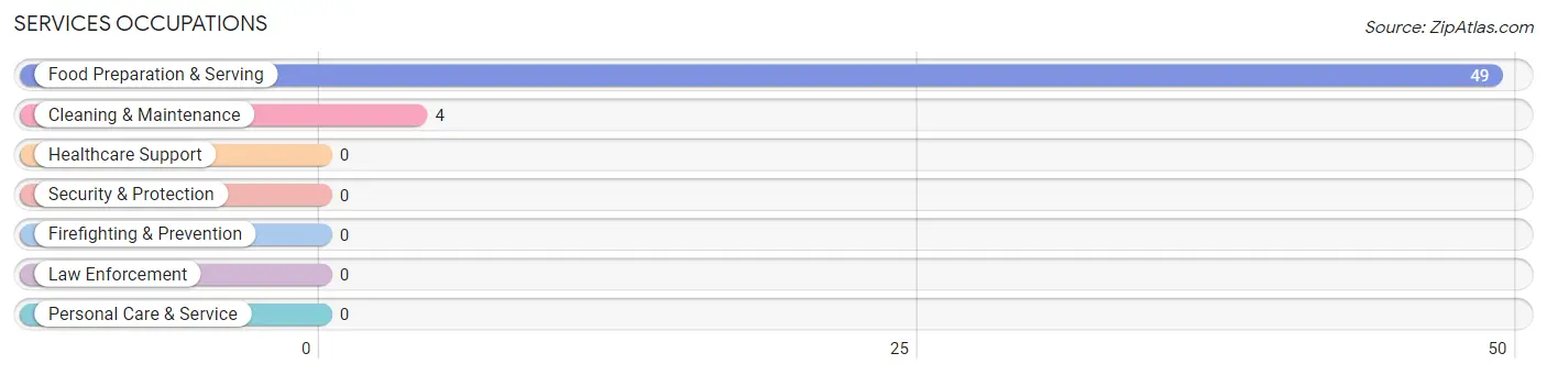 Services Occupations in Zip Code 25186