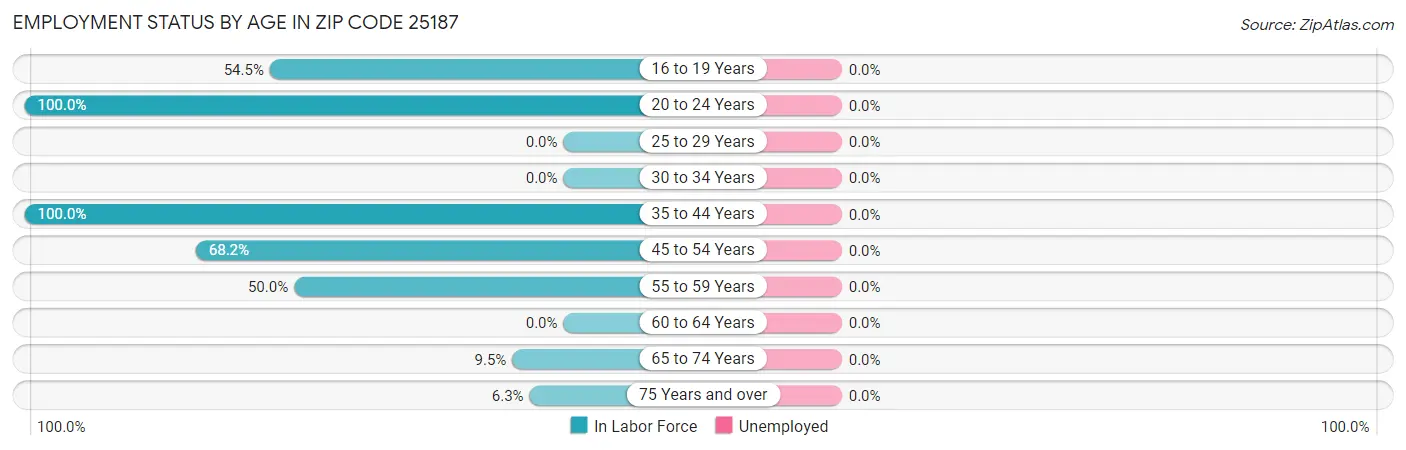 Employment Status by Age in Zip Code 25187