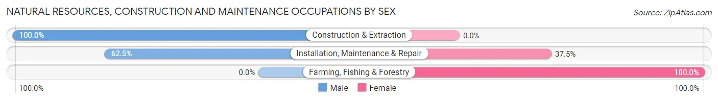 Natural Resources, Construction and Maintenance Occupations by Sex in Zip Code 25202