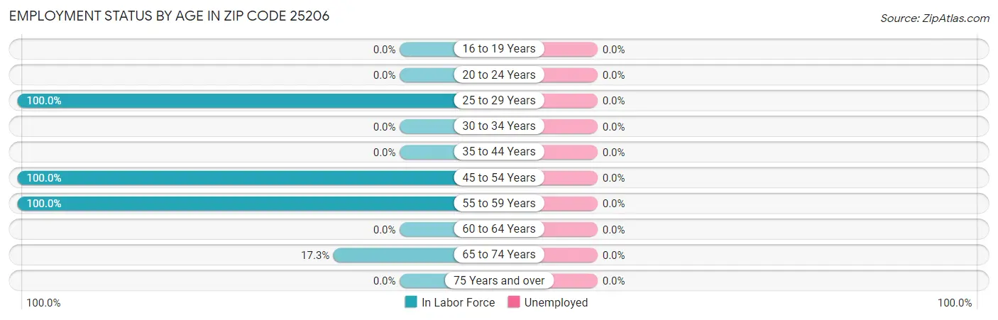 Employment Status by Age in Zip Code 25206