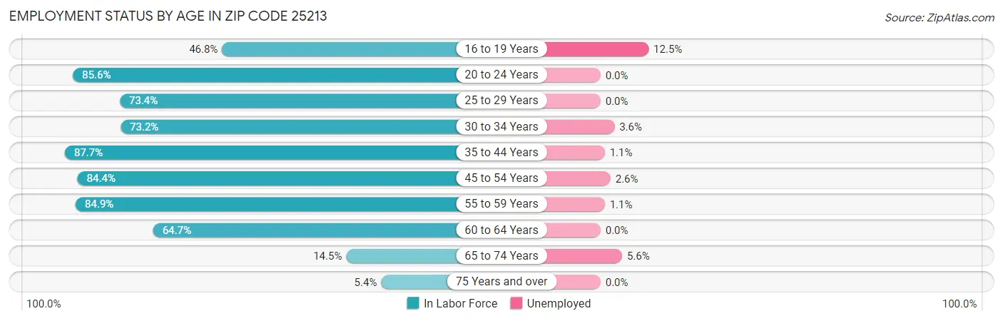 Employment Status by Age in Zip Code 25213