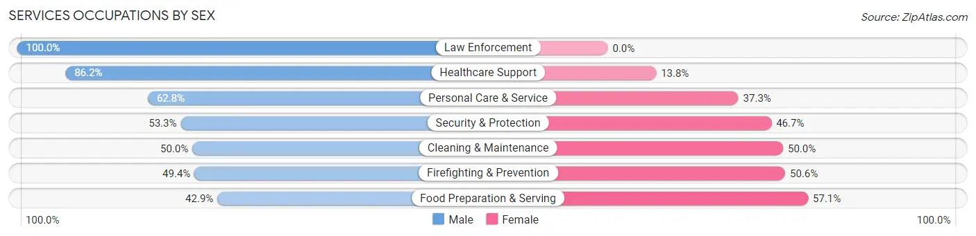 Services Occupations by Sex in Zip Code 25213