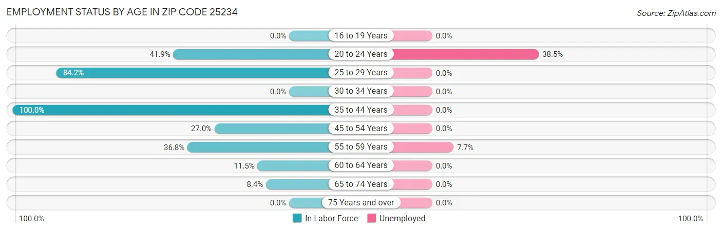 Employment Status by Age in Zip Code 25234