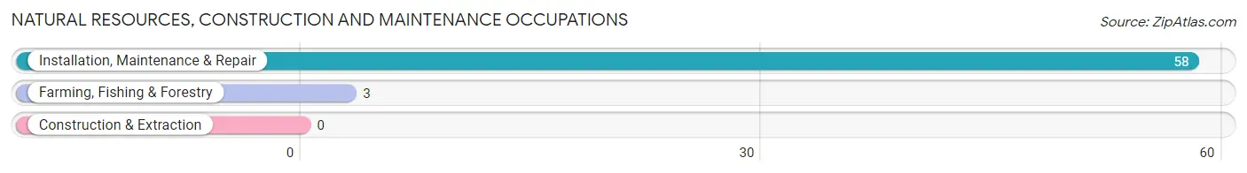 Natural Resources, Construction and Maintenance Occupations in Zip Code 25239