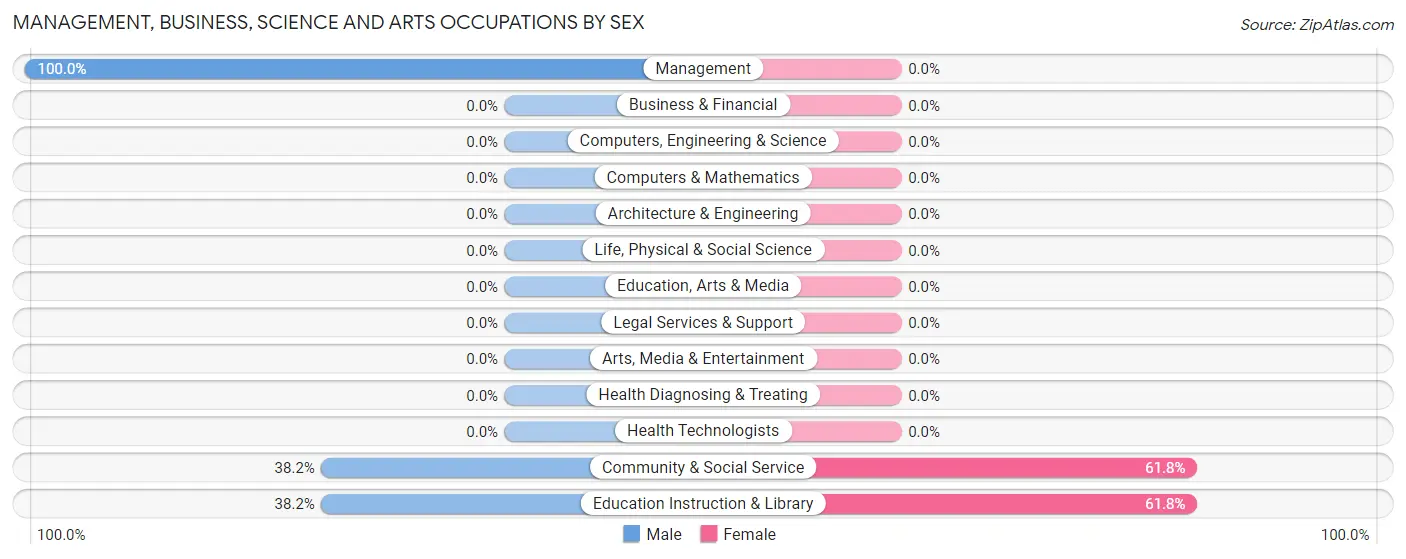 Management, Business, Science and Arts Occupations by Sex in Zip Code 25245