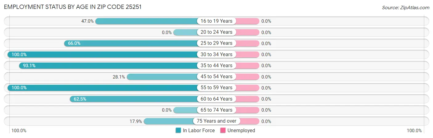 Employment Status by Age in Zip Code 25251