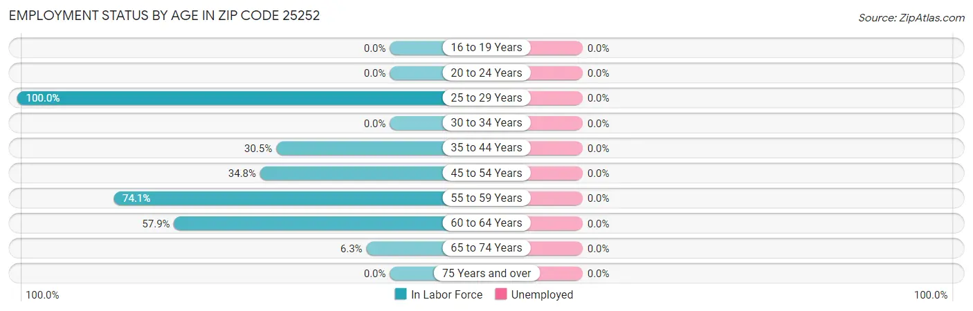 Employment Status by Age in Zip Code 25252
